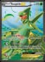 Sceptile EX #84