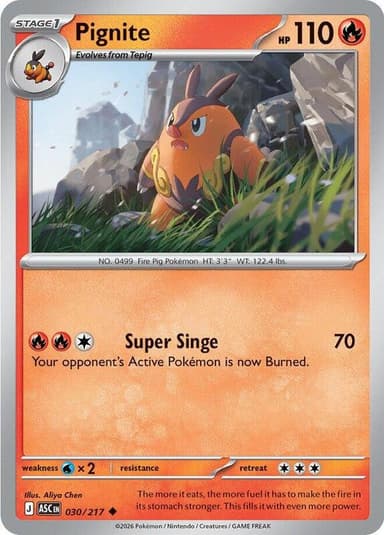 Pignite [Ball] #30