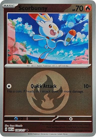 Scorbunny [Ball] #36