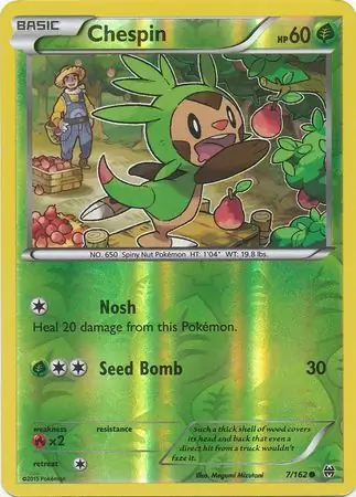 Chespin #7