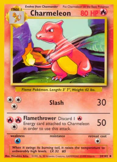 Charmeleon #24