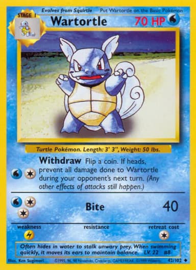 Wartortle #42