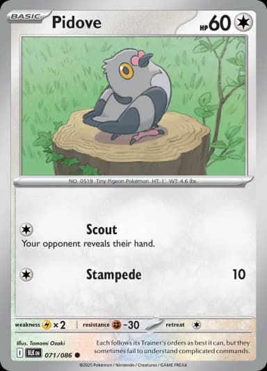 Pidove [Master Ball] #71
