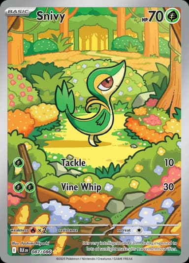 Snivy #87