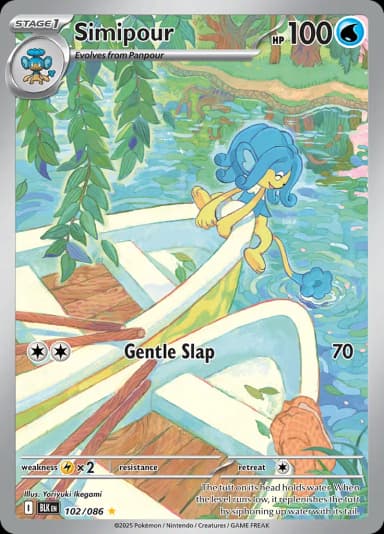 Simipour #102