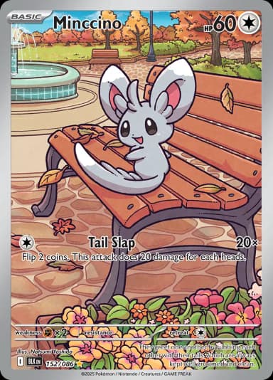 Minccino #152