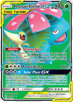 Venusaur & Snivy GX #210