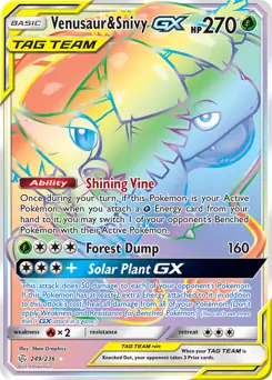Venusaur & Snivy GX #249