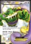 Tornadus EX #108