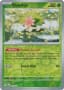 Shaymin #10