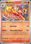 Blaziken #42