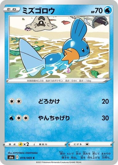 Mudkip #19