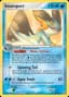 Swampert [Holo] #11