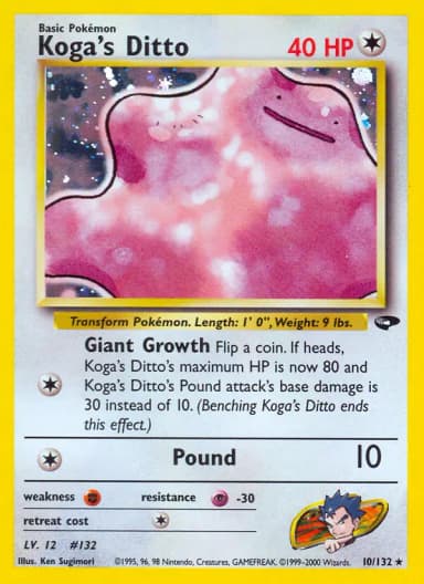 Koga's Ditto #10