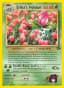 Erika's Ivysaur #41