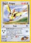 Koga's Pidgey #80