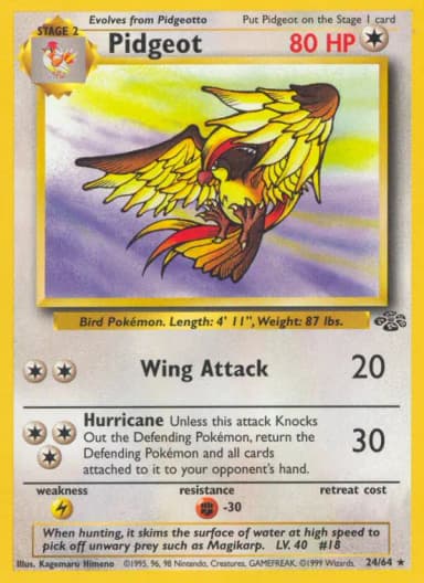 Pidgeot #24