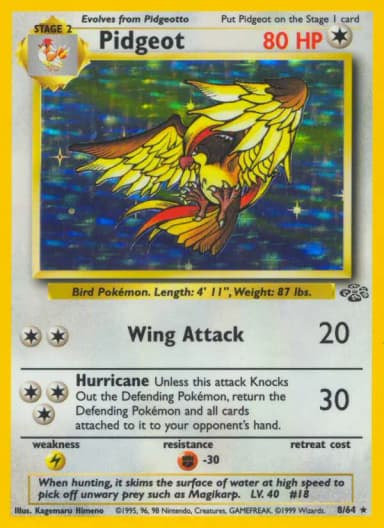 Pidgeot #8