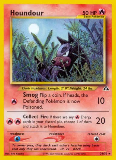 Houndour #24