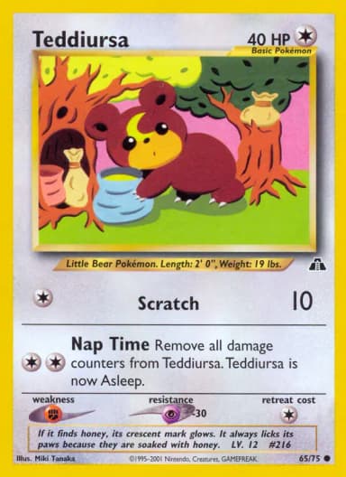 Teddiursa #65