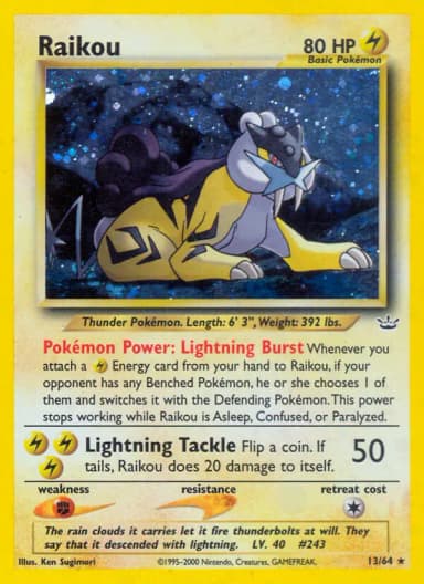 Raikou #13