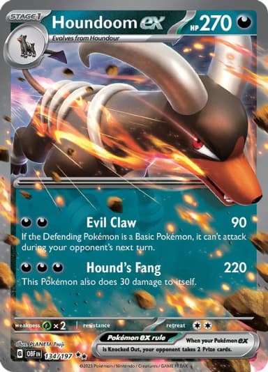 Houndoom ex #134