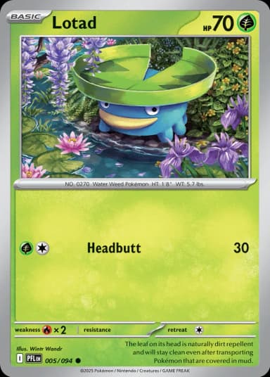 Lotad [Reverse Holo] #5