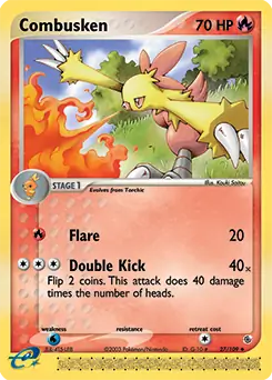 Combusken #27