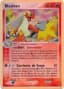 Blaziken [Holo] #3