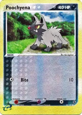 Poochyena #63