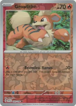 Growlithe #30