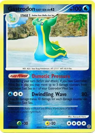 Gastrodon East Sea #8