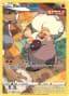 Rockruff #TG07