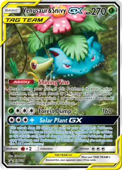 Venusaur & Snivy GX #SM229