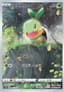 Turtwig #206
