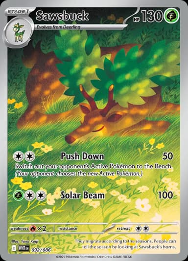 Sawsbuck #92