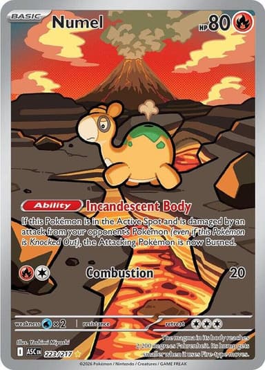 Numel #223