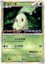 Chikorita #5/L-P